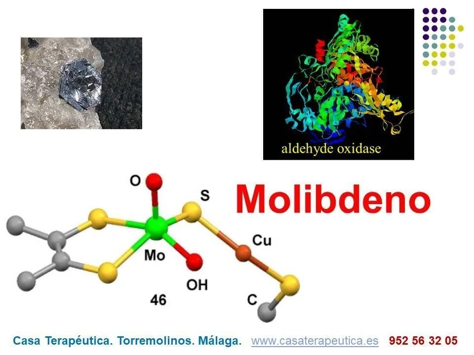 Molibdeno