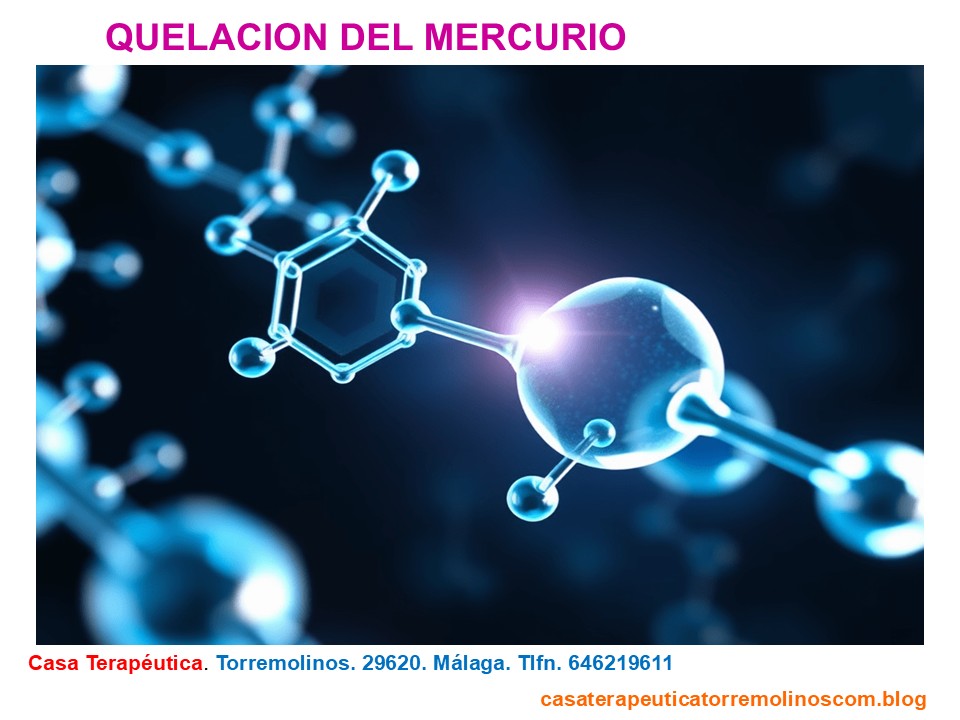Nuevas Estrategias para la Quelación del Mercurio