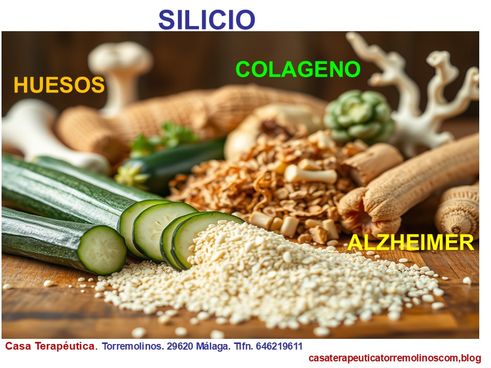 El Silicio