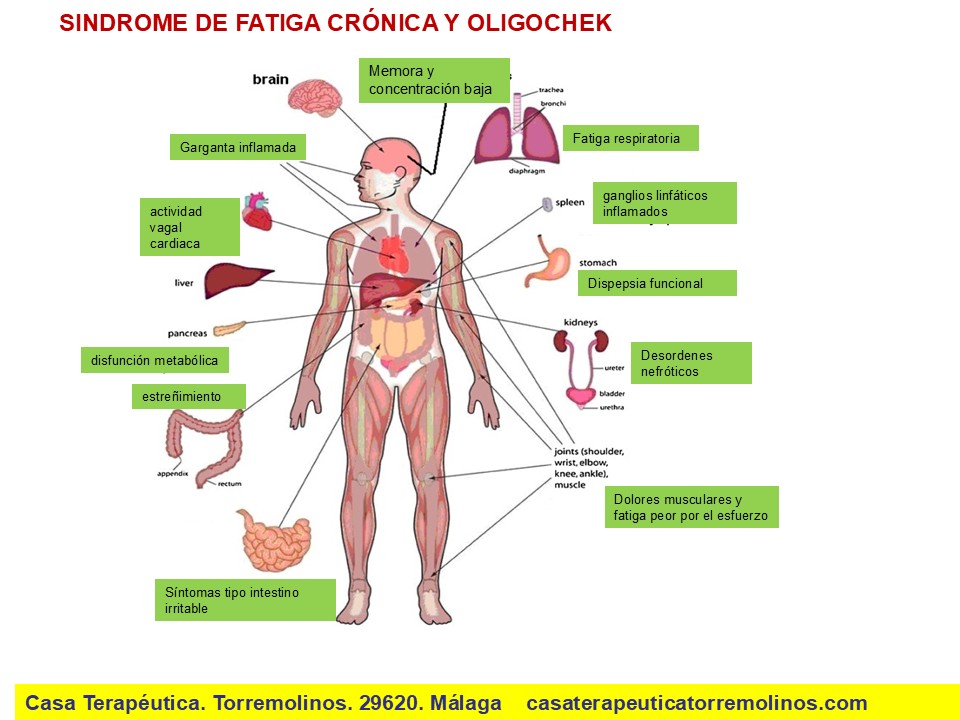 Sindrome de Fatiga crónica y Oligocheck